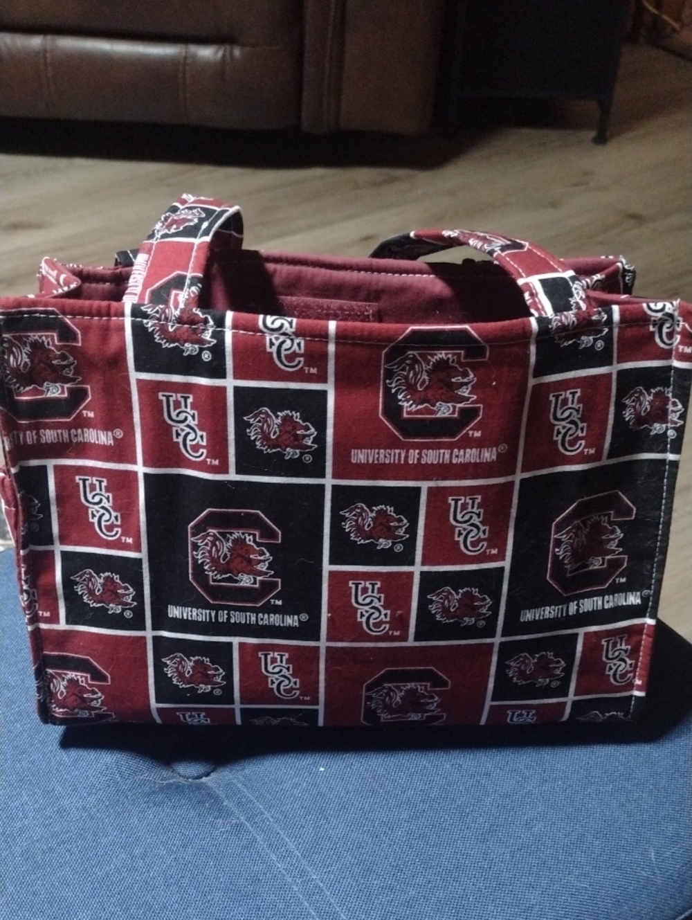 University of South Carolina Garnet & Black Tote Organizer
